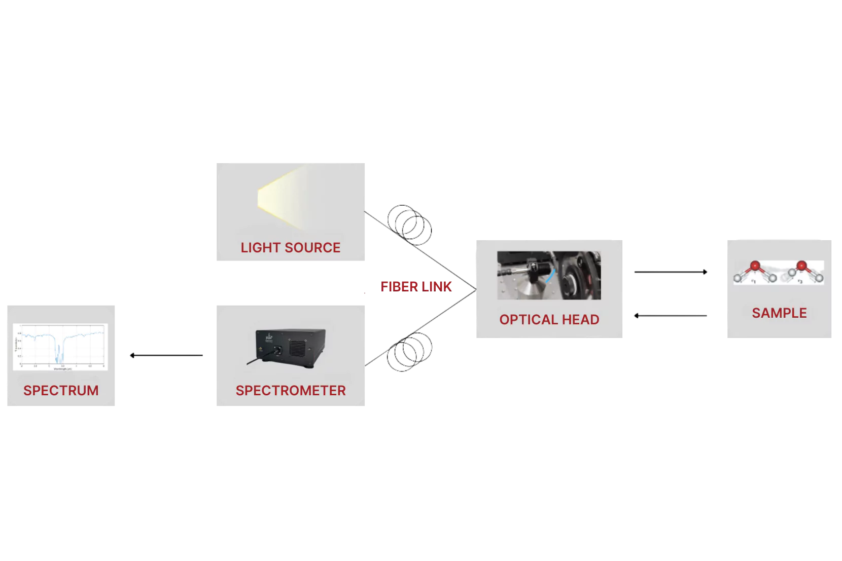 Fiber-coupled mid-infrared NLIR spectroscopy