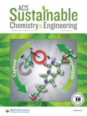 Online Characterization of Mixed Plastic Waste Using Machine Learning and MIR Spectroscopy sing-NLIR-technology-as-in-ACS Sustainable Chemistry