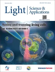 Real-time high-resolution mid-infrared optical coherence tomography using Nlir technology as in Light Science and Application, 2019