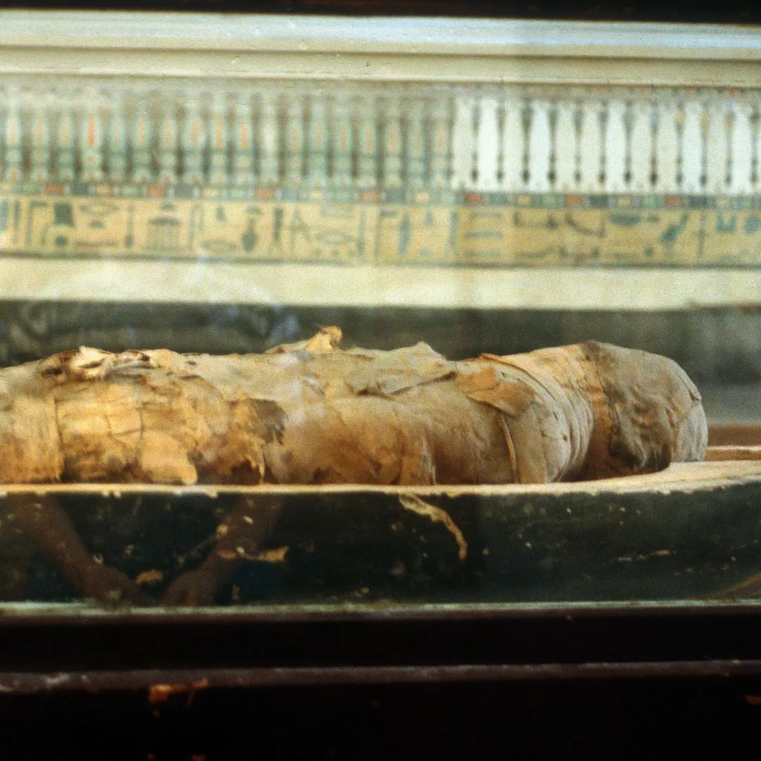 Mummy characterization with NLIR mid-infrared spectroscopy